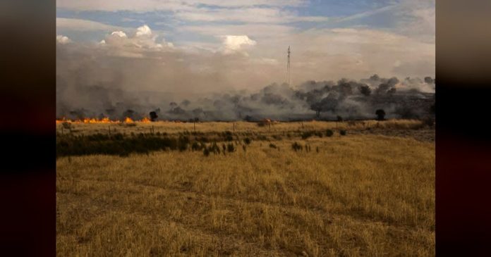 El plan Infoex interviene en 13 incendios forestales en la última semana