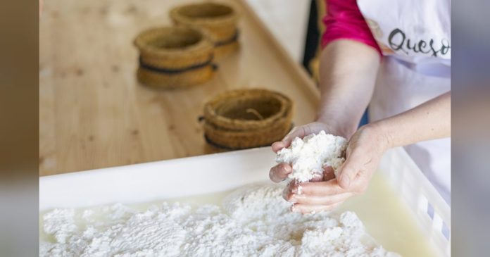 Extremadura promociona sus experiencias de turismo gastronómico en la Feria Europea del Queso de Casar de Cáceres