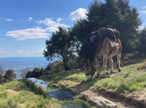 La Junta de Extremadura amplía su catálogo de montes protectores con la incorporación de Coto Sierra, en la comarca de La Vera
