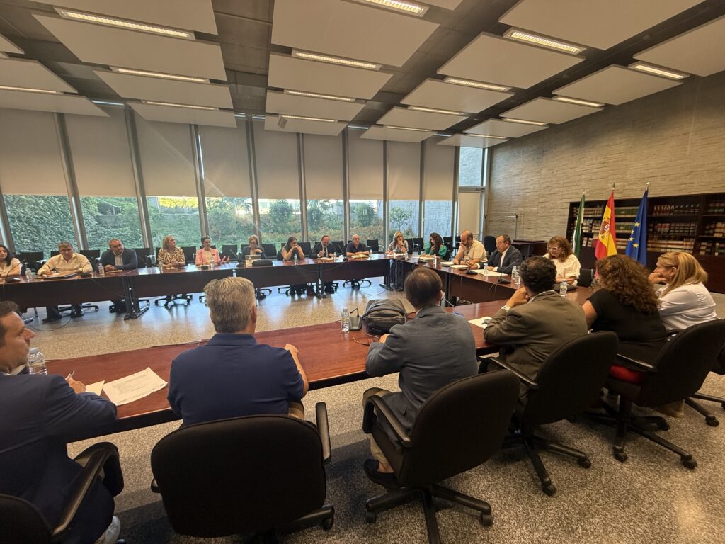 La Junta informa al Consejo Superior del Cooperativismo de los avances en la modernización y digitalización de procedimientos