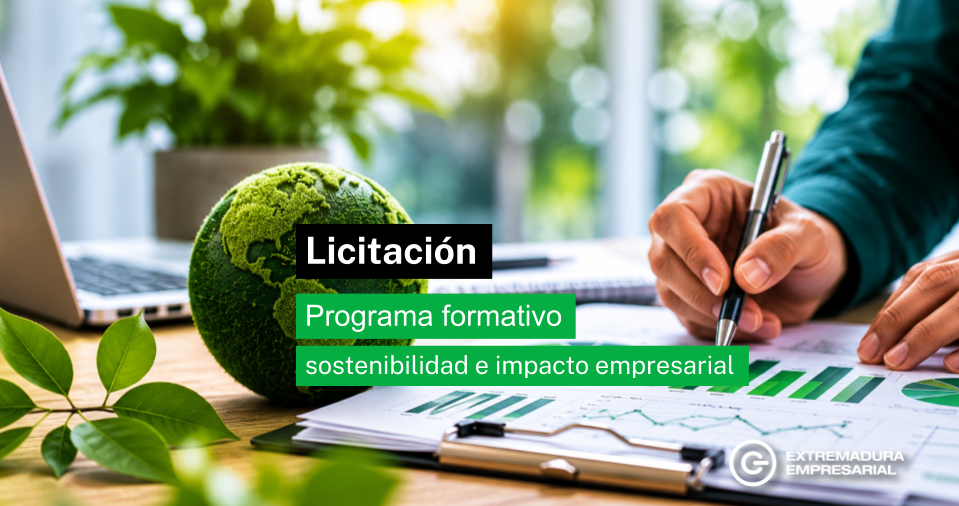 Abierta la licitación para desarrollar un programa formativo sobre sostenibilidad e impacto empresarial en la EUROACE
