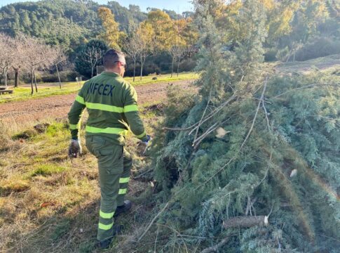 La Junta de Extremadura constituye las bolsas de empleo de las categorías de Bombero Forestal Conductor y Agente del Medio Natural