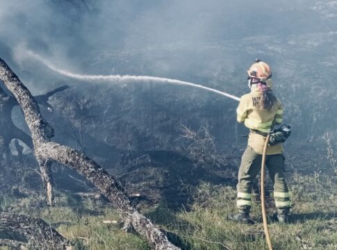 El plan Infoex interviene en 30 incendios forestales durante la última semana